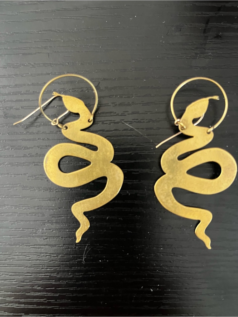 While Odin Sleeps Jormungander Earrings - Picture 2 of 3